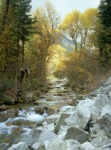 Little Cottpnwood Creek in the Fall.