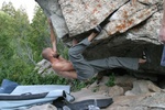 lcc_today_207