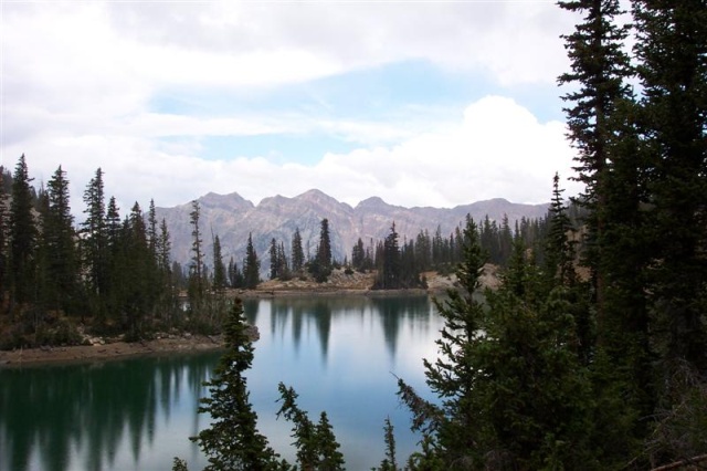 RedPine 028