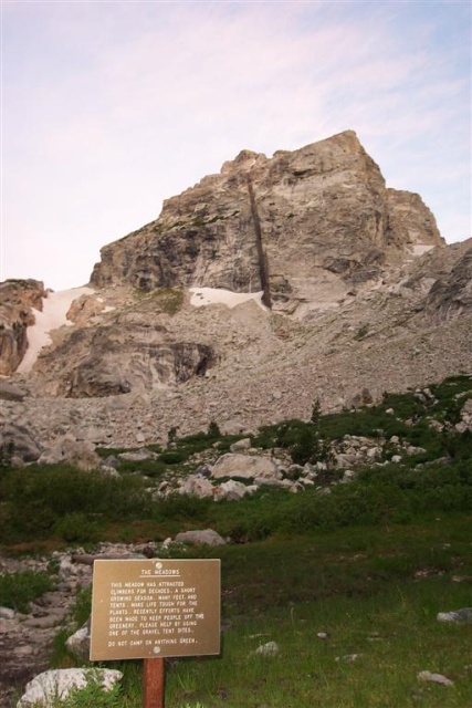 Middle Teton and the Meadows