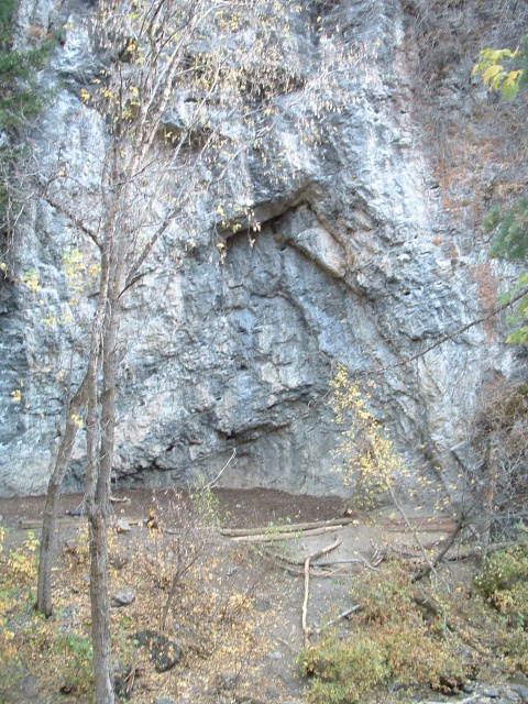 DSCF0001
