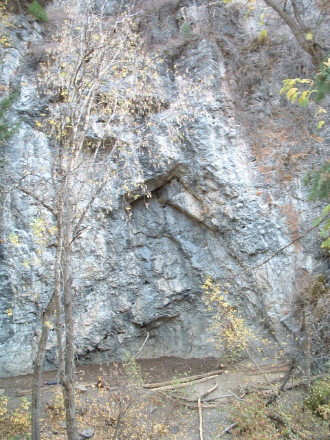 DSCF0002_1