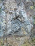 DSCF0003_1