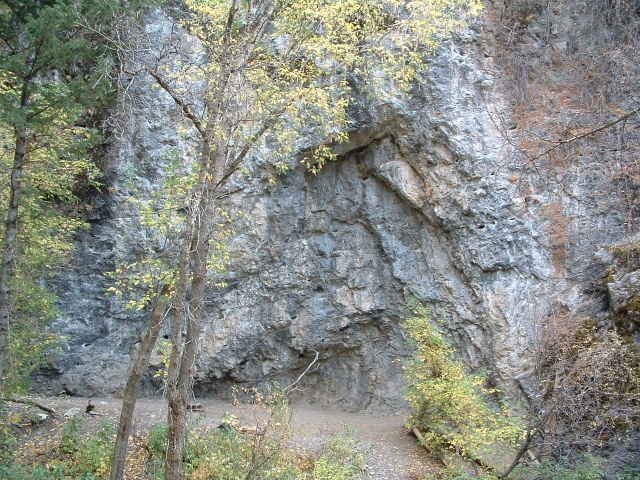 DSCF0006_1