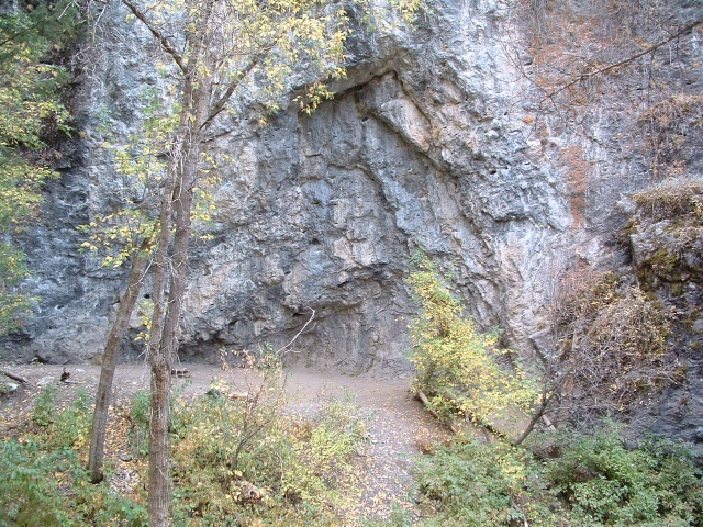 DSCF0007