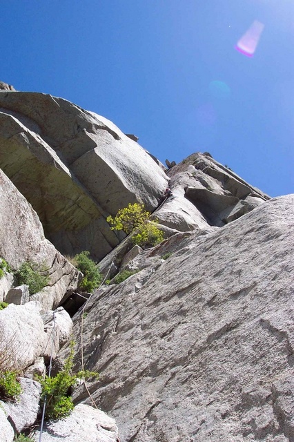 Triznut on pitch 1