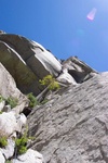 Triznut on pitch 1