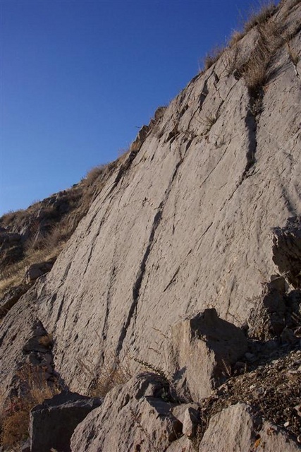 redbuttechoss (12).jpg