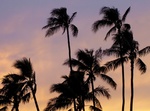 HAWAII NEI