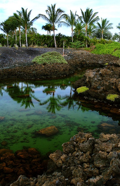 anchaline ponds, waikaloa, hi.