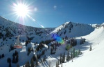 snowbird 3-1-06