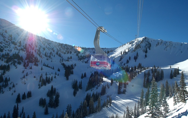 bluebird 5 800pix 