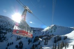 bluebird 6 800pix 
