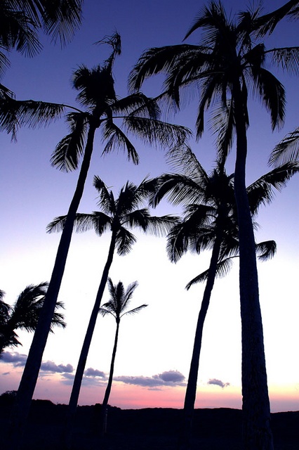 anaehoomalu sunset