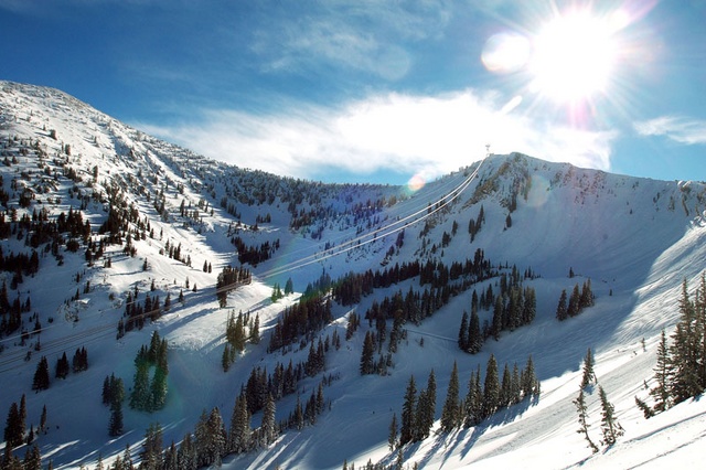 snowbird 1 1 06