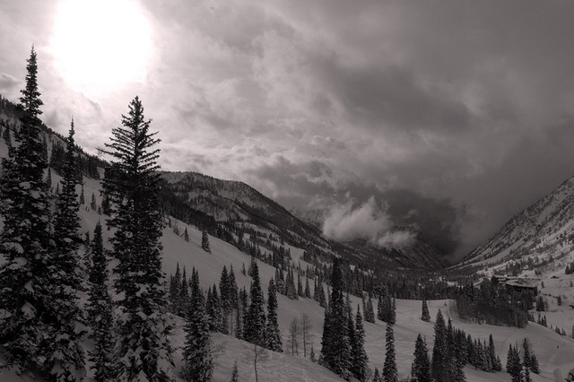 storm brewing 