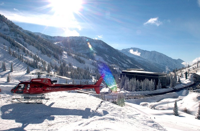 wasatch p birds 3 