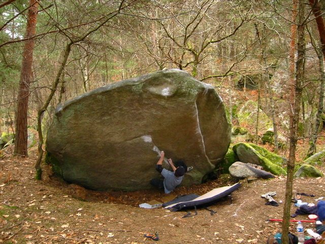 03 02 23 Tim Walburn Fondation 1 Isatis
