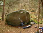 03 02 23 Tim Walburn Fondation 1 Isatis
