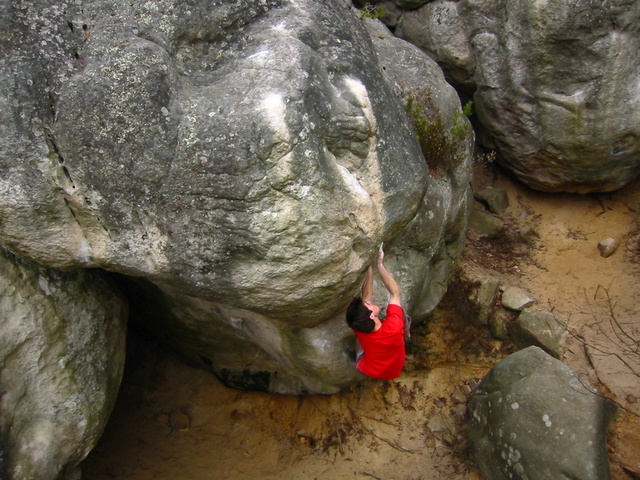 03 03 10 Chris Ryan Fourmis Rouges 2 Cuvier Rempart