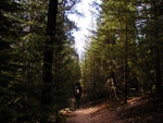 Hiking in after the boat ride across Red Fish Lake.