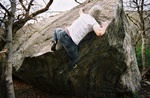 allthumbs-005
