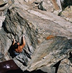 Highlight for Album: LCC White Pine North