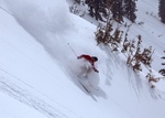matt 031506 3 800pix 