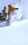 shannan yates landing lib 