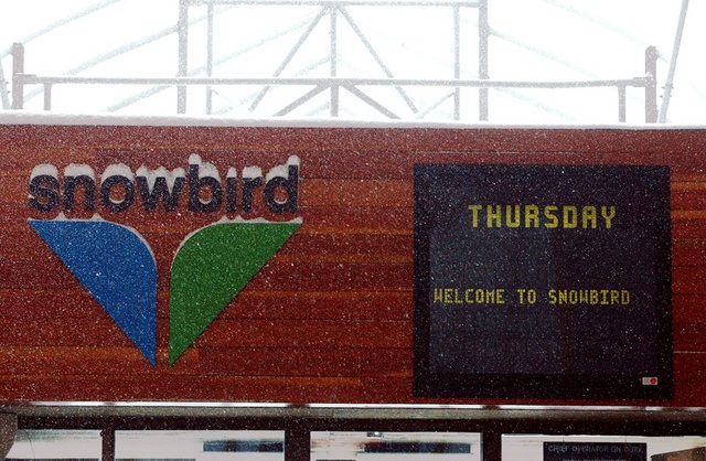 snowbird snowing 800pix 