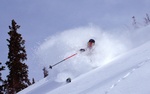 travis herbert 031006 E 800pix 