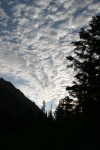 lcc_today_029