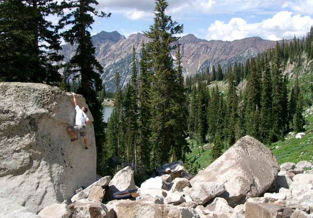 redpine01