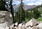 redpine01