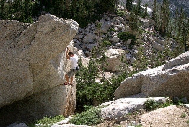 redpine4