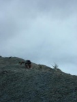 tingeys-091502-014