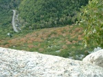 tingeys-091502-024