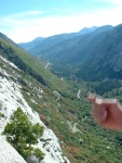 tingeys-091502-045