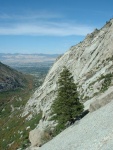 tingeys-091502-051