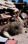 triassic cerri hammerhead 2