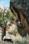 triassic1-032103-026