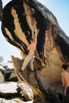 triassic1-032103-034