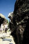 triassic-032203-020